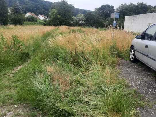 Tolles, großes Grundstück in Obernau - vielfältige Bebauungsmöglichkeiten