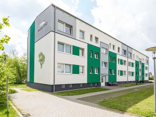 3 Raumwohnung sucht nette Mieter !