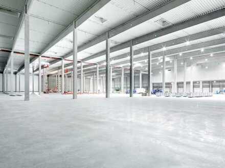 "BAUMÜLLER & CO." - ca. 7.000 m² Logistik-NEUBAU - Rampe und ebenerdige Andienung