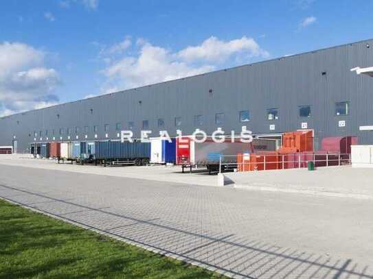 Ca. 15.000 qm Logistikneubau | Rampe und ebenerdig | Ca. 10,00 m UKB