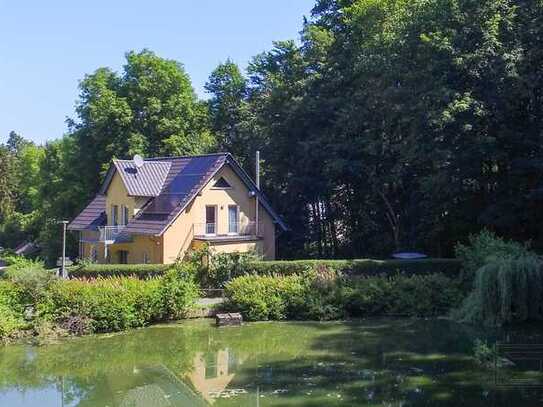 Haus am See: Einmaliges Anwesen mit modernem 2010er EFH mit Erdwärme, PV und See in Eckersdorf!