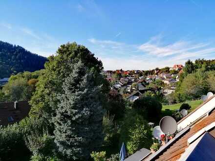 Einziehen und Wohlfühlen - Geräumige, sanierte 1-Zimmer-Wohnung in Gernsbach