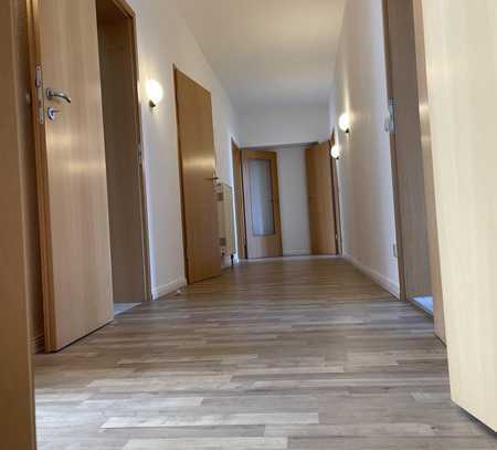 3-R.-Altbauwohnung mit Elbhangblick