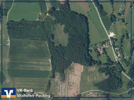 Aufgepasst: Waldgrundstück nähe Haarbach zu verkaufen!