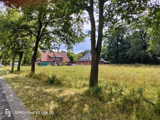 Traumhaft wohnen direkt am Waldrand in Heimsen