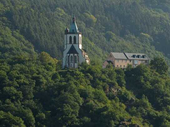 MitbewohnerIN für WG am Stadtrand von Koblenz gesucht