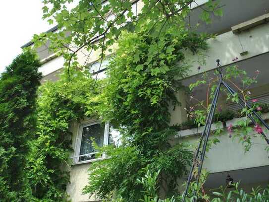 Lichtdurchflutete Wohnung in der Nähe der Uniklinik für Studenten und junge Leute