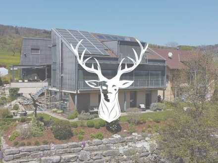 Exklusives Traumhaus mit Aussicht auf den Rhein in ruhiger Lage von Lienheim zu verkaufen