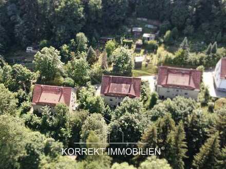 Sanierungs- & Umbauprojekt in grüner Lage. Zwei Mehrfamilienhäuser in Tharandt bei Dresden.