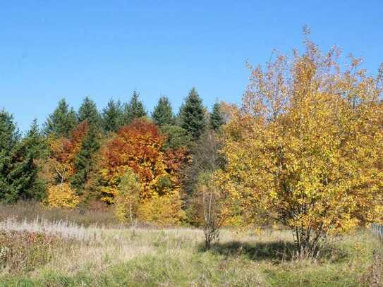 Großes Grundstück (ca. 2810 m²) im Grünen nahe Heidenheim und Aalen zu verkaufen - provisionsfrei