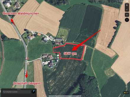 Privatverkauf: Grundstück im Außenbereich Gemeinde Waldmünchen Kreis Cham zu verkaufen