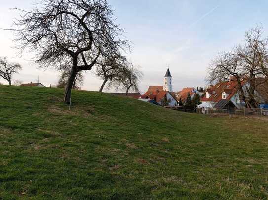 Traumhaftes Grundstück Garten Grünfläche Koppel am Ortsrand von Huisheim