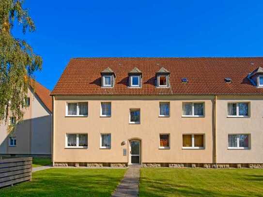 3-Zimmer-Wohnung in Steinheim zu sofort möglich