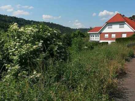 Privat - Baugrundstück mit Hanglage in Mühringen, Horb am Neckar, zu verkaufen