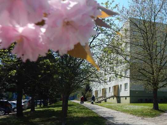 Top renovierte 3-Raum-Wohnung