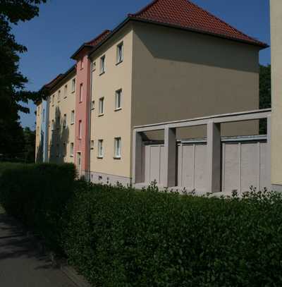 Sanierte 1-Raum-Wohnung im Stadtzentrum mit Dusche