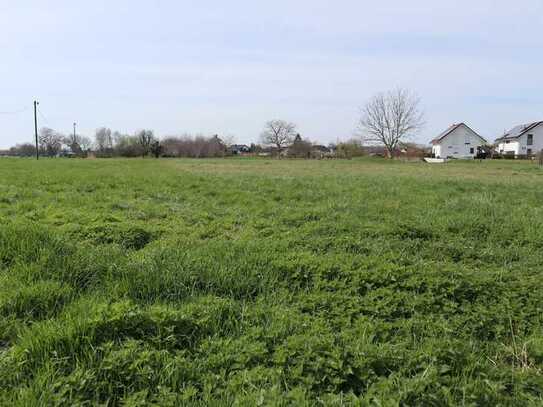 Zu verkaufen: Landwirtschaftsfläche in Burkheim