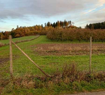 Wohnen auf dem Land - großes Baugrundstück mit Potential für Ihre Ideen im Kreis Ravensburg