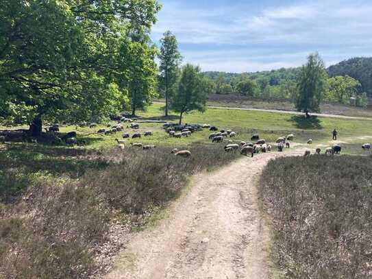 Baugrundstück in der Fischbeker Heide für Entwickler