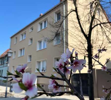 Wohnen im Herzen der Stadt