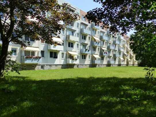 3 Raum Lankow sofort frei