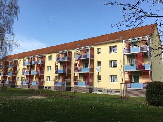 Sehr schöne 2-R.-Whg. im Erdgeschoss mit Balkon und Dusche