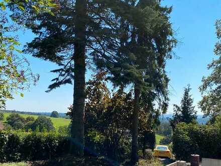 Baugrundstück Schollbrunn im Odenwald - Ruhe, Natur, Entspannung