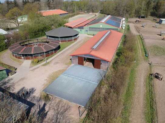 Neuer Preis !
Großzügige Reitanlage mit 2 Reithallen und 60 Pferdeboxen
bei Heide - Holstein