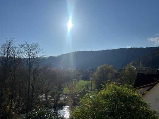 Traumhafte 4-Zimmer-Wohnung in Hanglage mit Garten und Ausblick über Blaubeuren