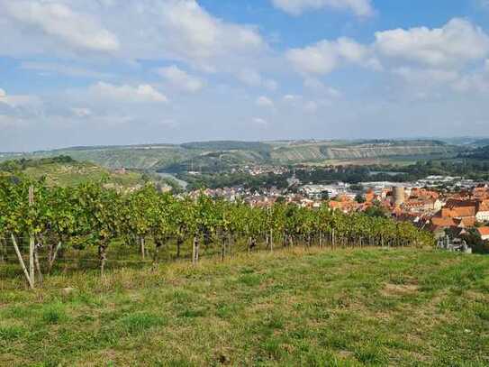 Weinberg zu verkaufen