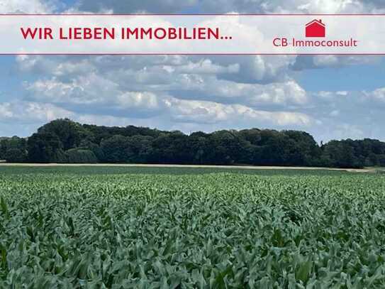 Ackerfläche mit rund 2 Hektar im Kreis Coesfeld nähe Havixbeck sucht neuen Bauern