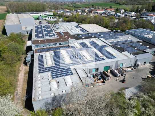 Lager- und Produktionshalle ca. 17.400 m² ab Q1 2026 - PROVISIOSNFREI