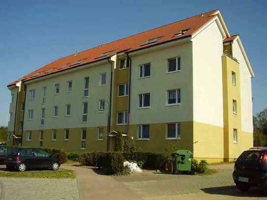 Neu hergerichtete gemütliche Wohnung mit Balkon