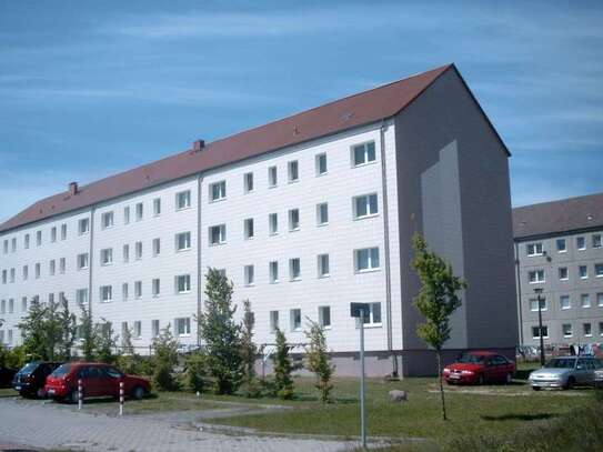 3 Raum Wohnung in Richtenberg