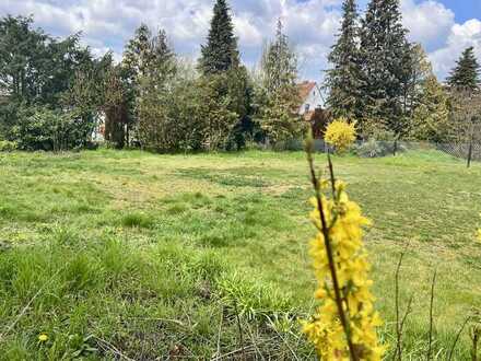 Sonniges Hinterliegergrundstück in toller Süd-Westausrichtung in Nienhagen!