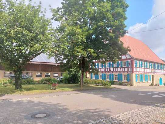 Traumhaftes Bauernhaus - liebevoll saniert. Einliegerwohnung, große Scheune