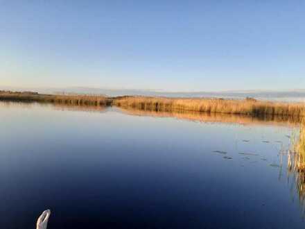 Wohnhaus am See und Mehrfamilienhaus auf einem Vierseitenhof, Naturidylle mit Kranichlärm pur