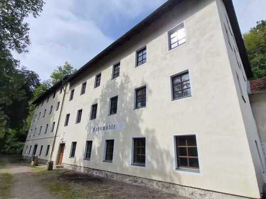 Historische Mühle mit großem Wohntrakt und Nebengebäuden mit Herz und Potential nahe Regensburg