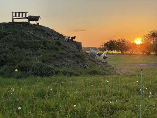 Wohnen wie im Urlaub - Helle 2-Zimmer-Wohnung am grünen Rand von Jena