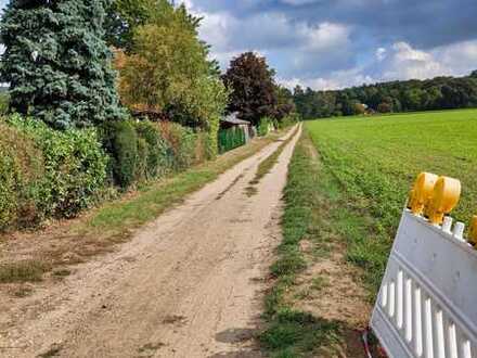 Herbststimmung naturnah von zu Hause erleben