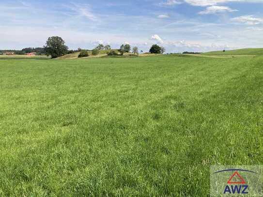 Landwirtschaftliche Fläche mit ca. 4 Hektar Größe!