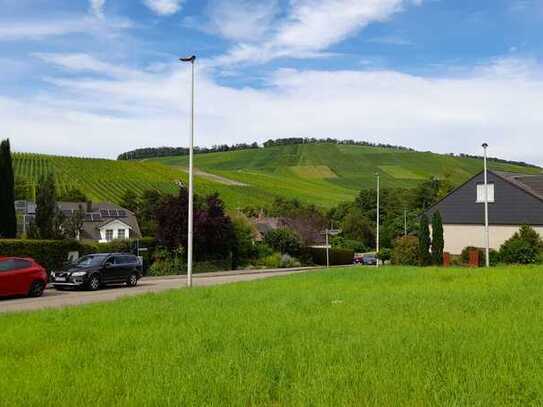 Baugrundstück mit Weinbergblick in Kleinbottwar