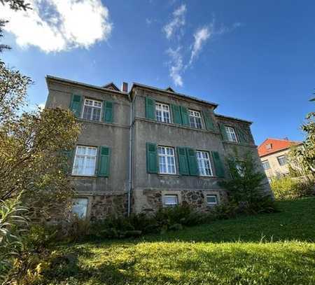 Repräsentative Villa mit Stadtblick ins Muldental, großem Garten und Garage - Sanierungsobjekt