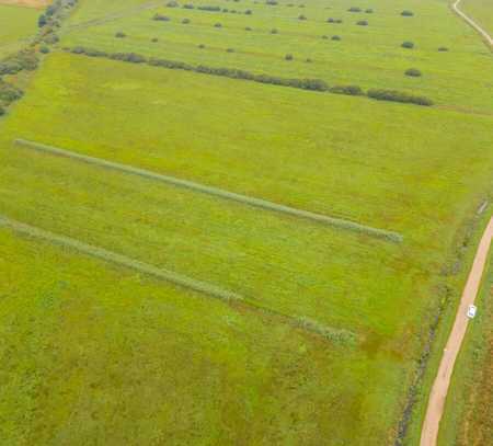 Landwirtschaftliche Fläche - Grünland in Oldersbek zu verkaufen