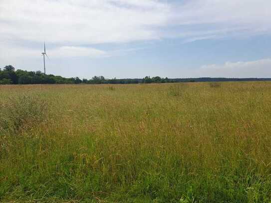 Wiese in der Gemarkung Denklingen