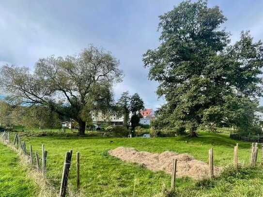 Großes, teilbares Baugrundstück im Ortskern