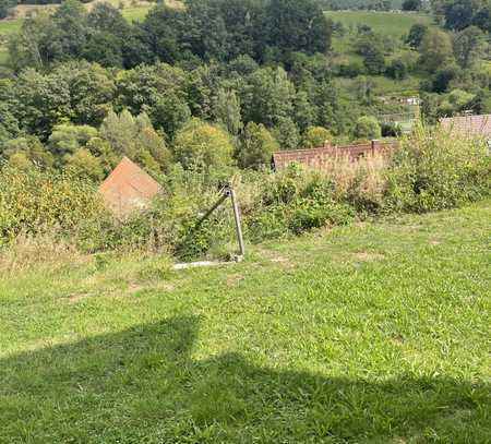 Erstbezug nach Sanierung! Ansprechende 2,5-Zimmer-Wohnung mit großem Garten und tollem Ausblick