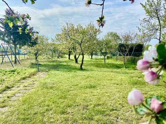 Einfamilienhaus mit viel Nebengelass und großem Grundstück!