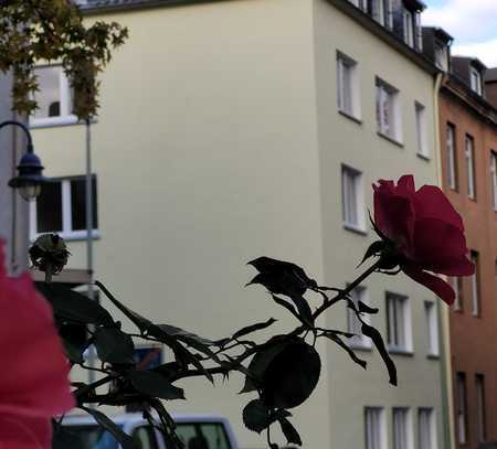 SCHÖNE RENOVIERTE WOHNUNG NAHE ZUM RHEIN SUCHT EINEN NEUEN MIETER/in -2.li