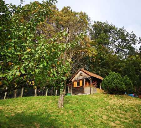 Freizeitgrundstück am Waldrand mit Gartenhaus